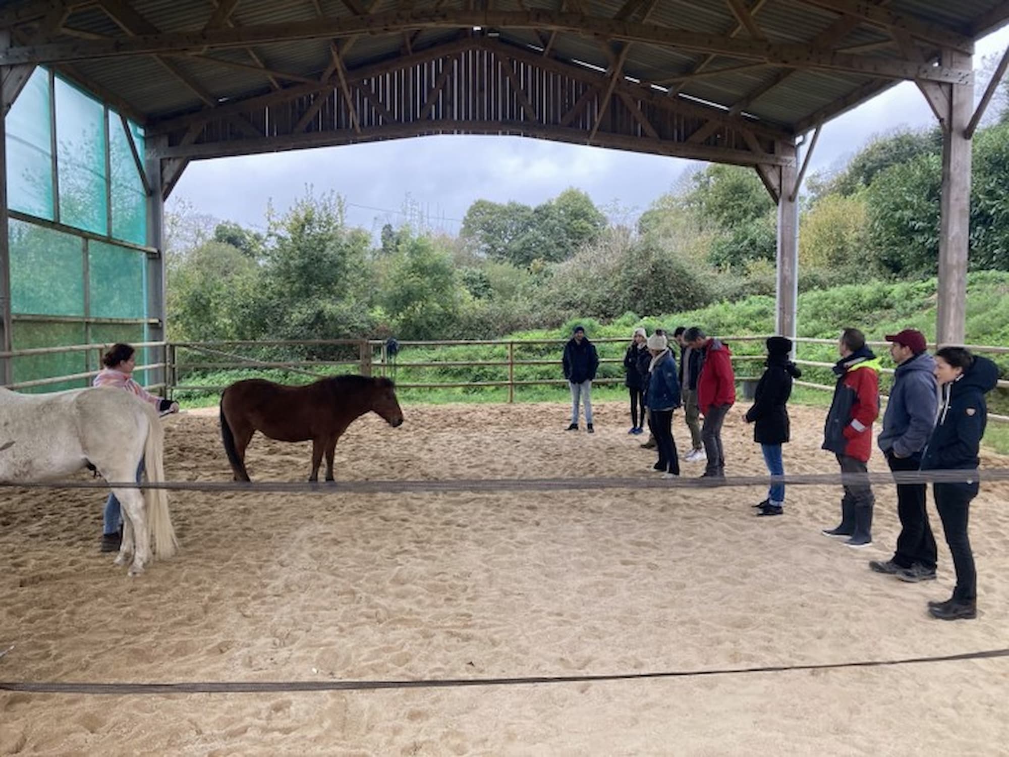 Team building avec les chevaux, équicoaching, LeadXP - Quimper, Finistère, Bretagne