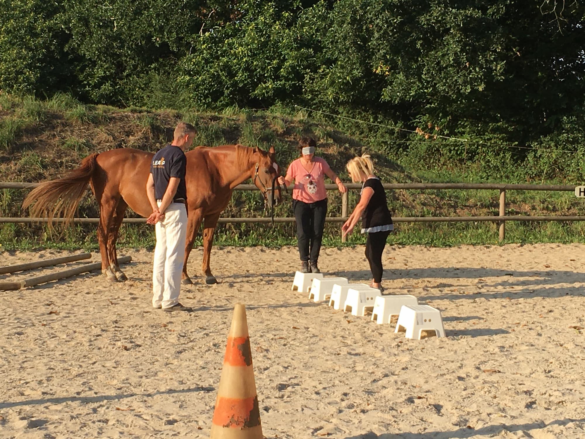 Team building avec le cheval, équicoaching, LeadXP - Quimper, Finistère, Bretagne - Leadership expérience